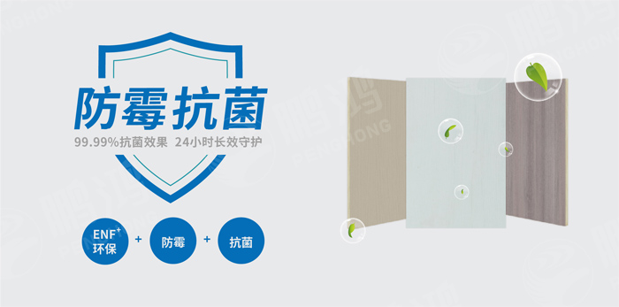 抗菌防霉木質(zhì)裝飾板行業(yè)標(biāo)準(zhǔn)研討工作會圓滿召開